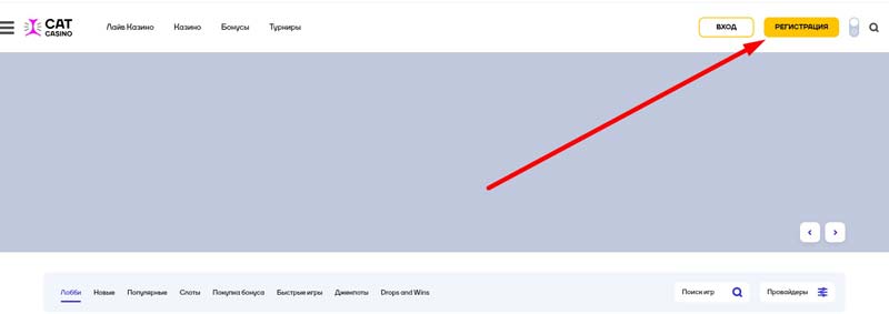 Регистрация в Cat Casino