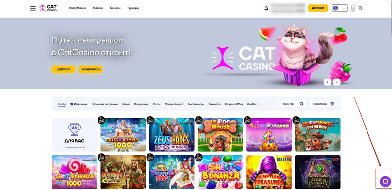 Техподдержка Cat Casino